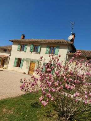 Hotels in Chaneins